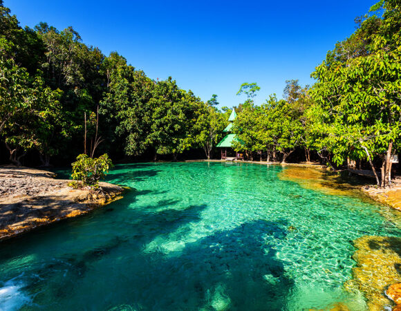 Emerald Pool, Natural Hot Spring, Tiger Cave Temple One Day Trip