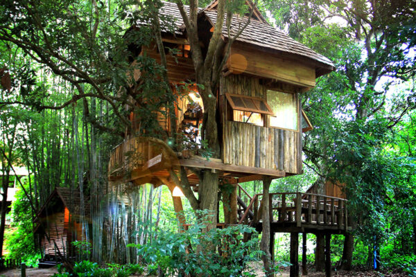 2 Days 1 Night Elephant Sanctuary ,Stunning Chiang Dao Non touristic area,The Tree House