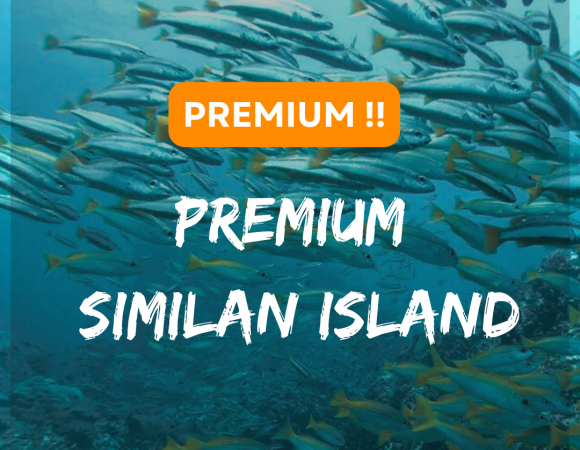 Premium - Similan Island (One-Day Trip)
